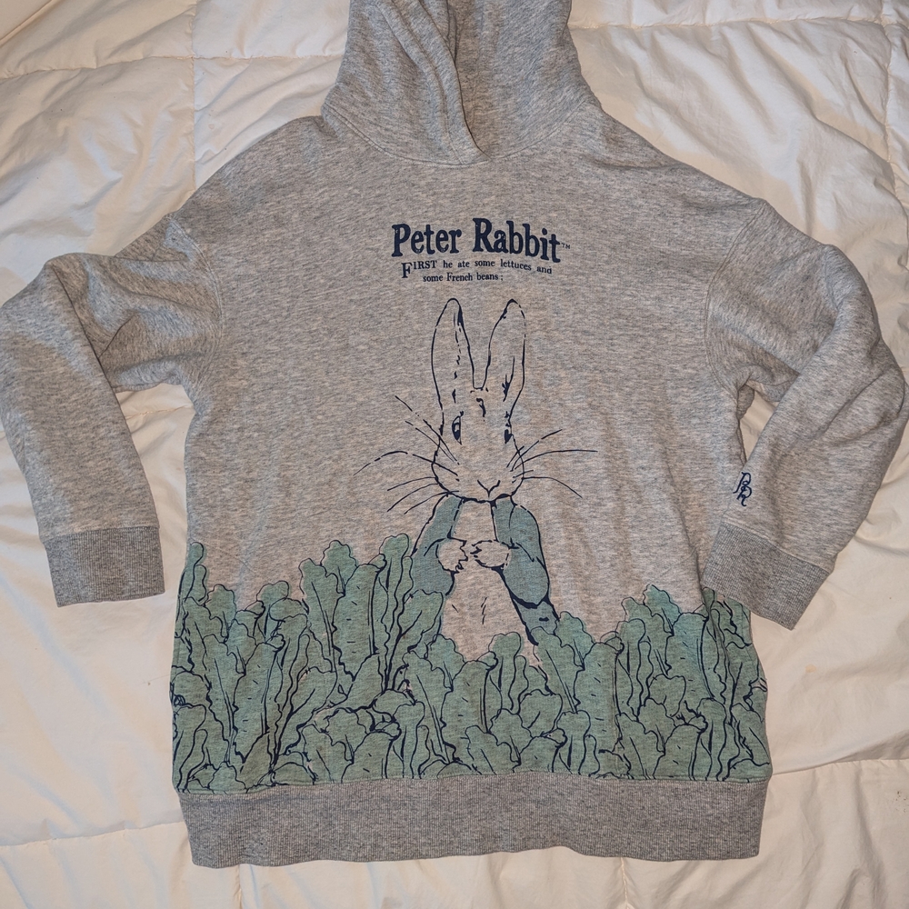 Peter Rabbit Gray Hoodie with Green Print
